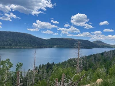 Dixie National Forest / High Mountain Trail