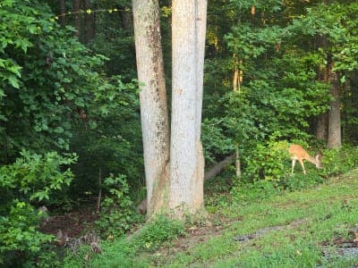 Don Carter State Park
