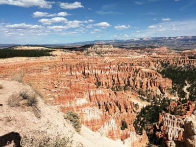 Dixie National Forest / High Mountain Trail