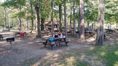 Douglas State Forest