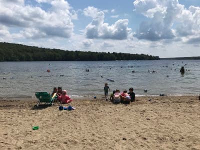 Douglas State Forest