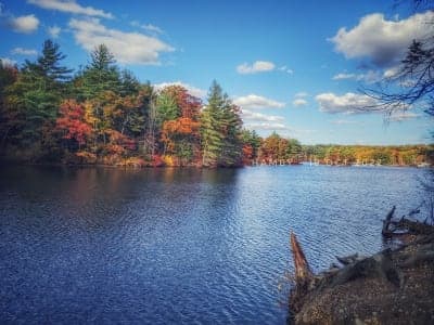 Douglas State Forest
