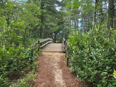 Double Trouble State Park