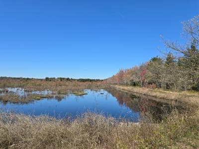 Double Trouble State Park