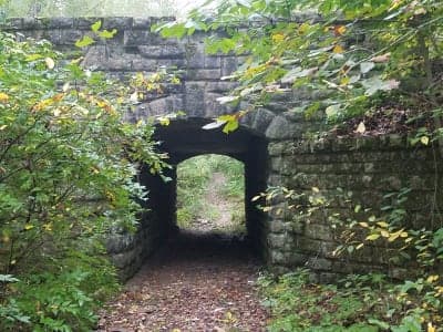 Dr. Edmund A. Babler Memorial State Park