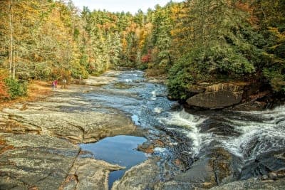 DuPont State Recreational Forest