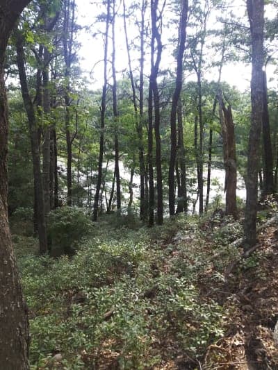 DuVal Trail System