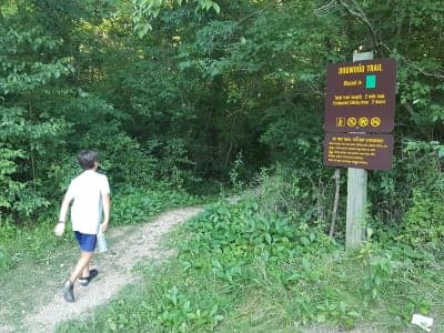Dr. Edmund A. Babler Memorial State Park