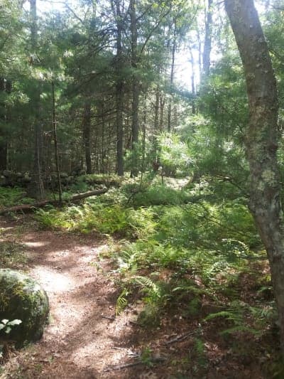 DuVal Trail System