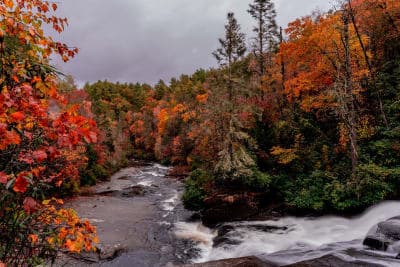 DuPont State Recreational Forest