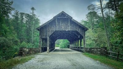 DuPont State Recreational Forest