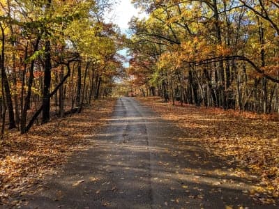 Dr. Edmund A. Babler Memorial State Park