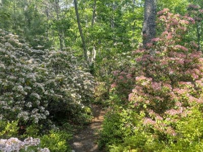 DuVal Trail System