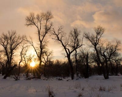Edness K. Wilkins State Park
