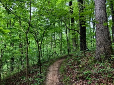 East Fork State Park