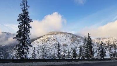 Eldorado National Forest