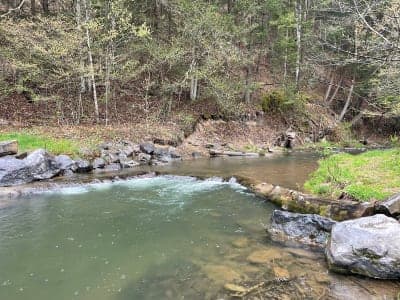 Elk State Forest / Thunder Mountain Equestrian Corridor