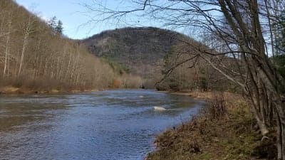 Elk State Forest / Thunder Mountain Equestrian Corridor