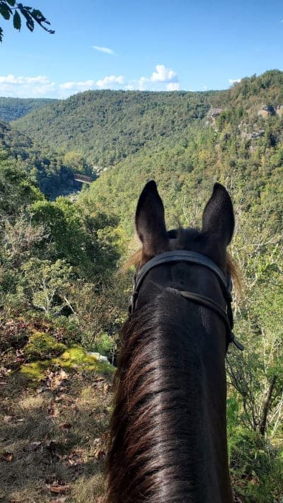 Equine Camp Trail