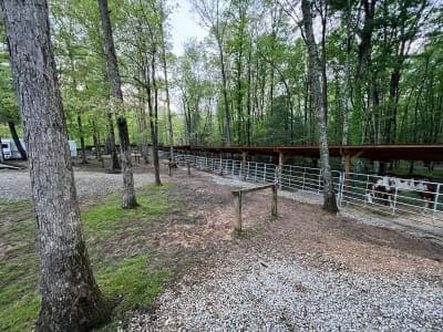 Equine Camp Trail