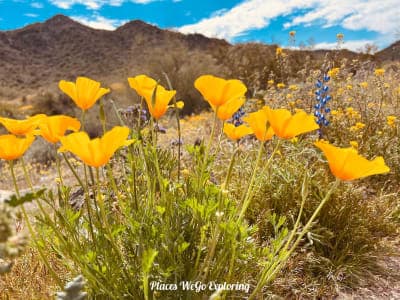 Estrella Mountain Regional Park
