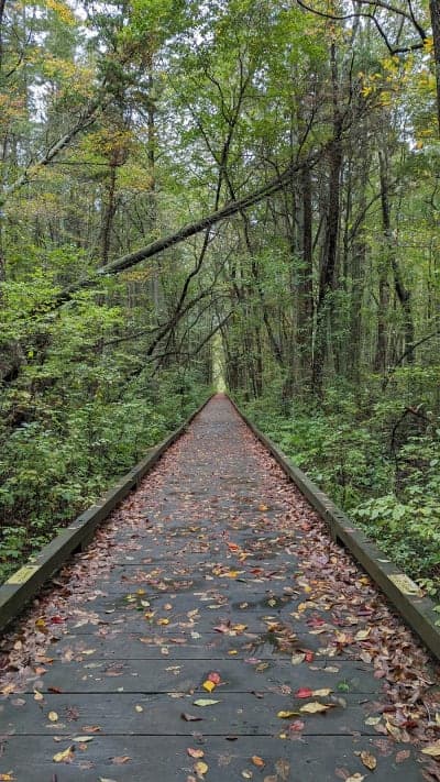 Estell Manor Park