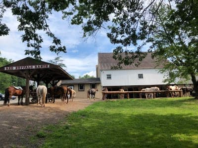 Evansburg State Park / Red Buffalo Ranch