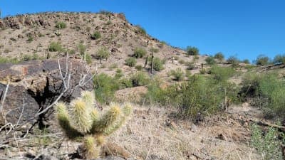 Estrella Mountain Regional Park