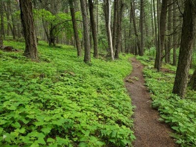 Farragut State Park