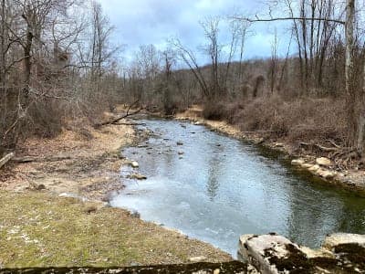 Fair Hill Natural Resources Management Area