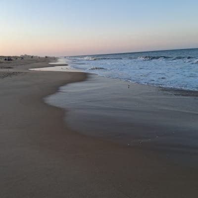 Fenwick Island State Park