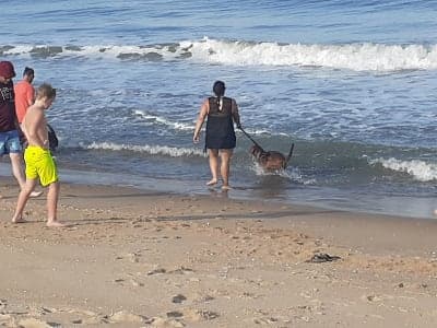 Fenwick Island State Park
