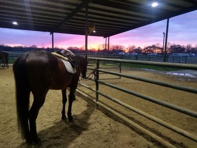 Farr Park Equestrian Center and RV Campground
