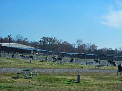 Farr Park Equestrian Center and RV Campground
