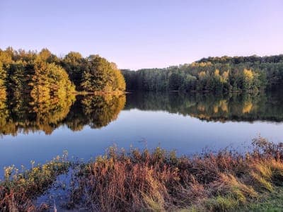Ferne Clyffe State Park