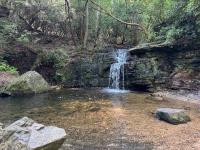 F.D. Roosevelt State Park