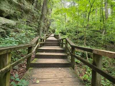 Ferne Clyffe State Park