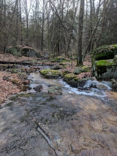F. Gilbert Hills State Forest