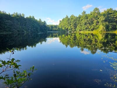 F. Gilbert Hills State Forest