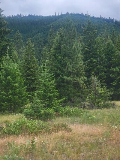 Fish Creek State Park