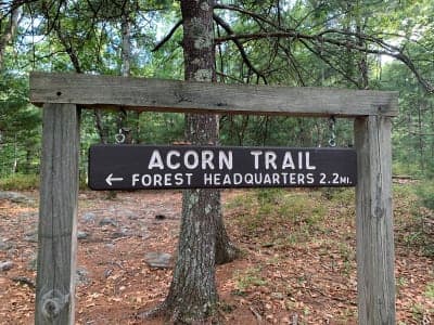F. Gilbert Hills State Forest