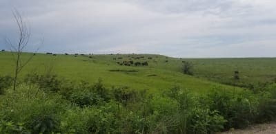 Flint Hills Trail State Park