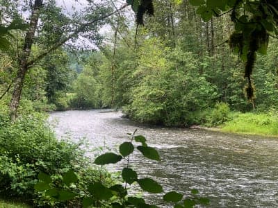 Flaming Geyser State Park
