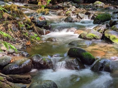 Flaming Geyser State Park
