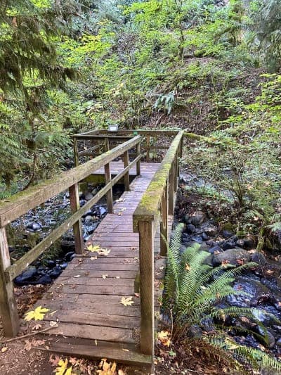 Flaming Geyser State Park