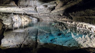Forestville / Mystery Cave State Park