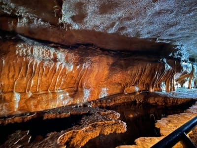 Forestville / Mystery Cave State Park