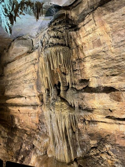 Forestville / Mystery Cave State Park