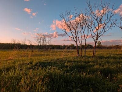 Fort Custer Recreation Area