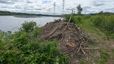 Fort Hill Recreational Rail Trail